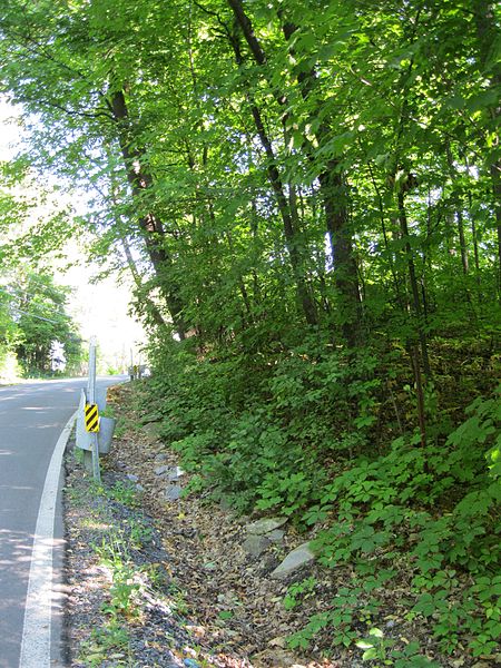 File:Chemin de Senneville 01.JPG