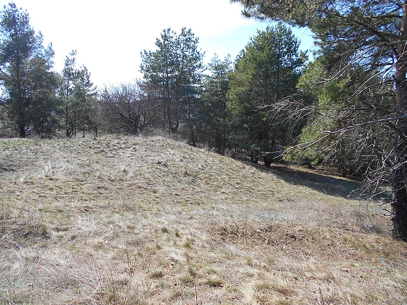 File:Cherkas'kyi district, Cherkas'ka oblast, Ukraine - panoramio (1456).jpg