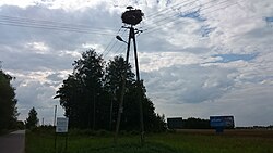 Щъркелово гнездо - републикански път No7 в околностите на село Cieciórki