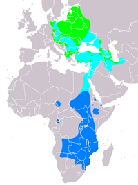 Distribution av Clanga pomarina