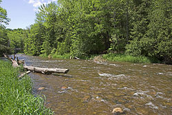 The Credit River near Belfountain Credit River Ontario.jpg