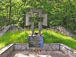 Croce commemorativa nel Parco nazionale Kampinos.