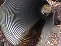 A culvert near the headwaters of Kinney Run. October 14, 2013.