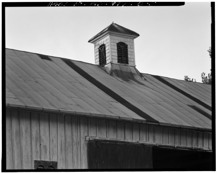 File:DETAIL, CUPOLA, VIEW TO SOUTHWEST - Blendon Estate, Barn, 11747 Park Heights Avenue, Owings Mills, Baltimore County, MD HABS MD,3-OWMI.V,3-B-5.tif