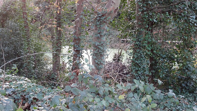 File:Dacres Wood 2.JPG