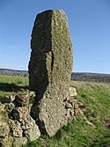 Menhir Danthine