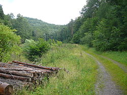 Oberes Holpertal: Blick nach Nordosten zum Burgberg (links hinten) der Ruine Meistersel und zur Passhöhe Drei Buchen