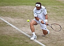 Ferrer at 2011 Wimbledon