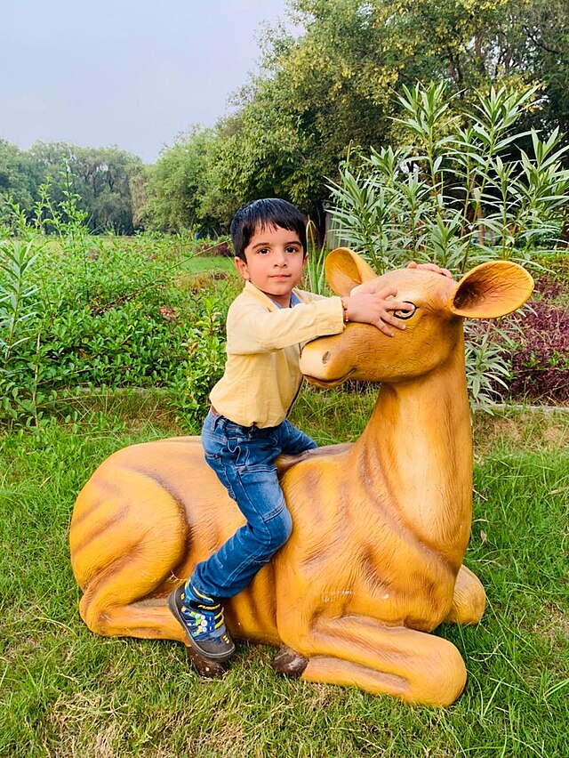 Rohtak mini zoo provides a tremendous opportunity and space for children to play and learn.