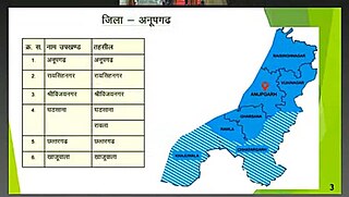 <span class="mw-page-title-main">Anupgarh Tehsil</span> Tehsil in Rajasthan, India