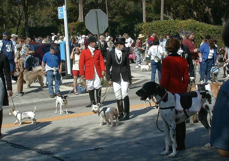 File:Dog Parade in Deland.jpg