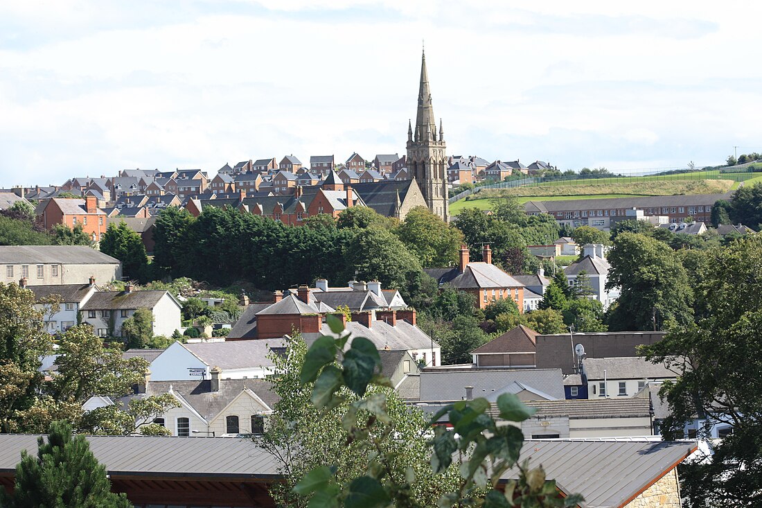 File:Downpatrick view (02), August 2009.JPG