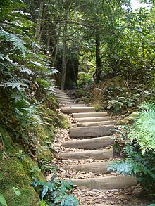 E9731-Pista-de-seis-pies-Nellies-Glen-steps.jpg