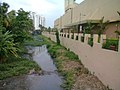 Edappally canal ,thukalan kuthiya thodu,near lulu mall,kochi,india - panoramio.jpg