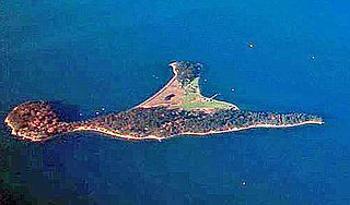 Eliza Island island in the United States of America