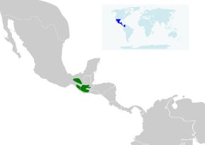 Descrierea imaginii Ergaticus versicolor map.svg.