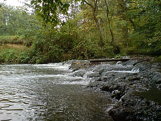 The Erlenbach between Aschhausen and Bieringen