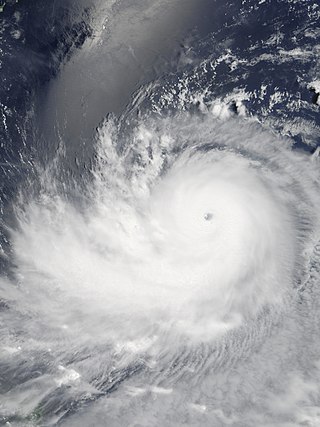 Typhoon Ewiniar (2006)