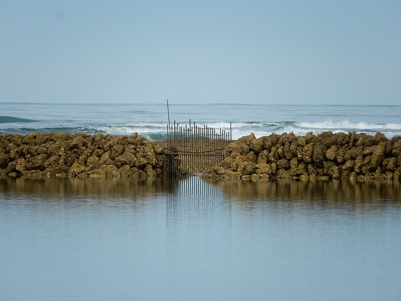 File:FR 17 Saint-Georges-d'Oléron - Bouchot d'une écluse à poissons.jpg