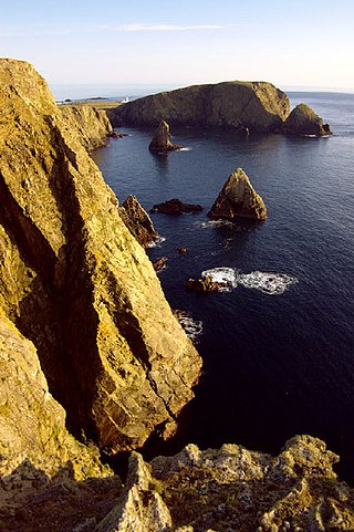 West cliffs, looking southwest towards Malcolm's Head