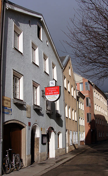 File:Fannywibmerpeditgeburtshaus.jpg