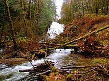 Fishhawk Falls (8238618496).jpg