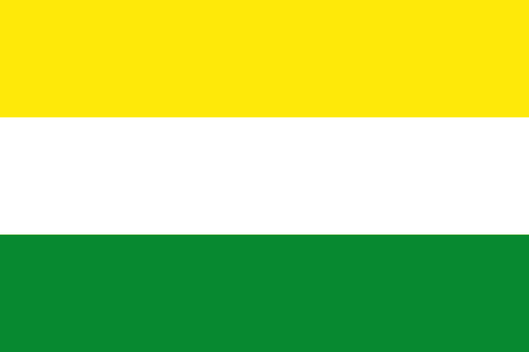 File:Flag of Chinavita (Boyacá).svg