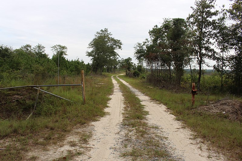 File:Flat Tub Wildlife Management Area Paceville Rd looking East.jpg