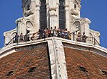 Dome visitors (close-up)