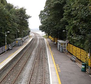 Fota Station in 2011.JPG