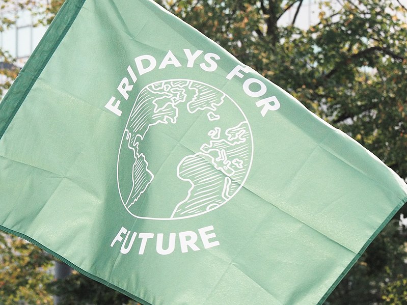 File:Fridays for Future.jpg