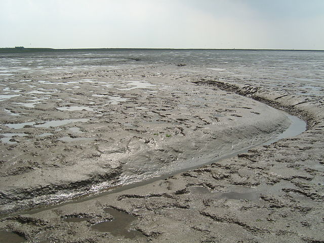 File:Friedrichskoog_Priel-im-Wattenmeer_August-2010_SL275048.JPG