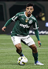 Ficheiro:Palmeiras-campeao-paulista-2022-2.jpg – Wikipédia, a