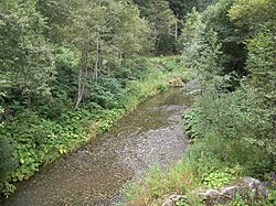 Gailbach am Speicher Tassenbach.JPG