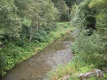 File:Gailbach_am_Speicher_Tassenbach.JPG