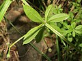 2022年8月14日 (日) 03:44時点における版のサムネイル