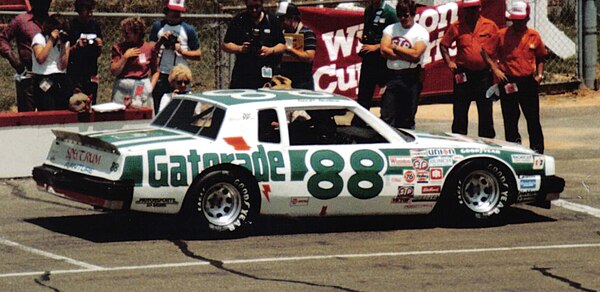 Bodine's Cup car in the 1983 Van Scoy Diamond Mine 500