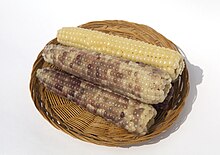 Glutinous corn.jpg