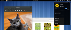 Bildschirmfoto von Gnome Shell 3.2