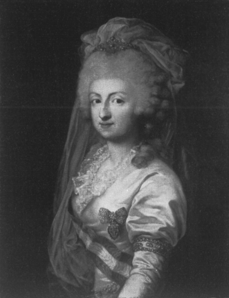 File:Graff - Carolina of Parma, hereditary princess of Saxony - Radebeul.png