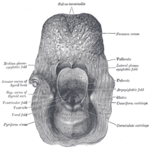 Hoquet Wikipedia