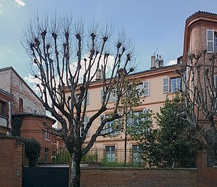 Angiologue toulouse rue ozenne