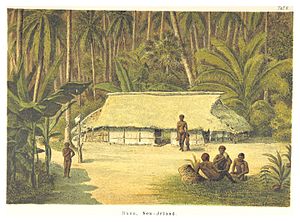 Haus und Bewohner auf Nusa, um 1883