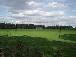 Hackney Marshes