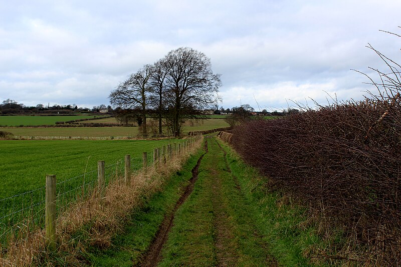 File:Headley Lane looking North West - geograph.org.uk - 5295673.jpg