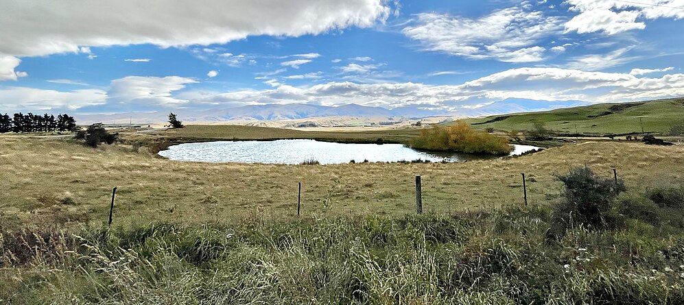 Central Otago-avatar