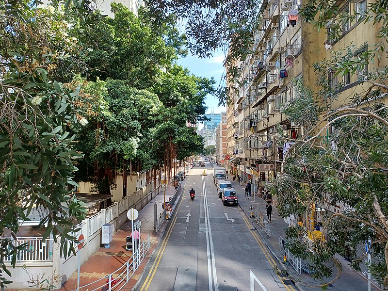 File:Hoi Pa Street, Tsuen Wan in December 2022.jpg