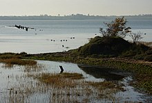 Zátoka Holbrook Creek a ústí řeky Stour - geograph.org.uk - 1602041.jpg