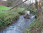 Naturschutzgebiet Holzbachaue