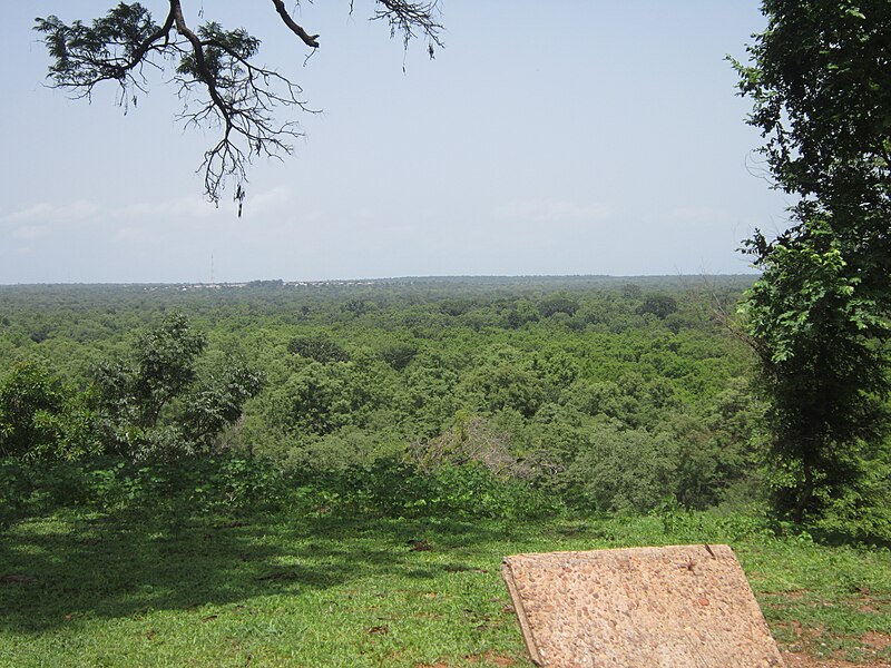 File:Horizon view of Mole National Park.JPG